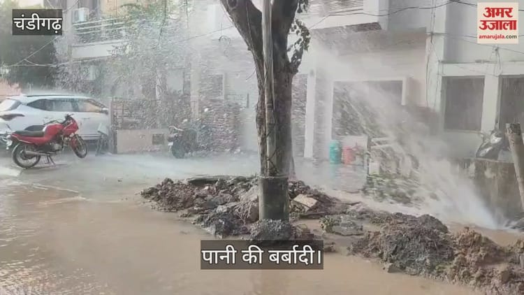 Chandigarh:सेक्टर-22 में पीने के पानी की पाइप फटी, बर्बाद हो रहा पानी – Drinking Water Pipe Has Burst In Sector 22 Chandigarh