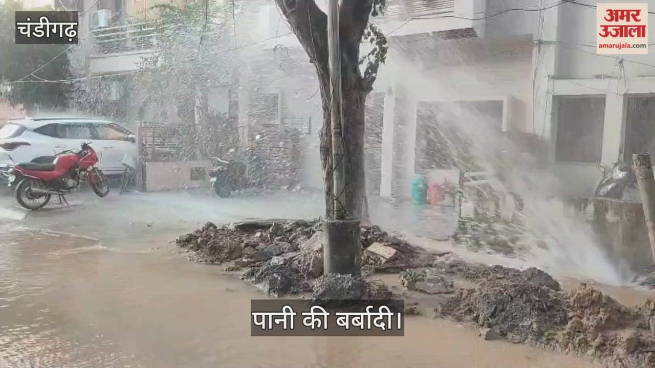 drinking water pipe has burst in Sector 22 Chandigarh