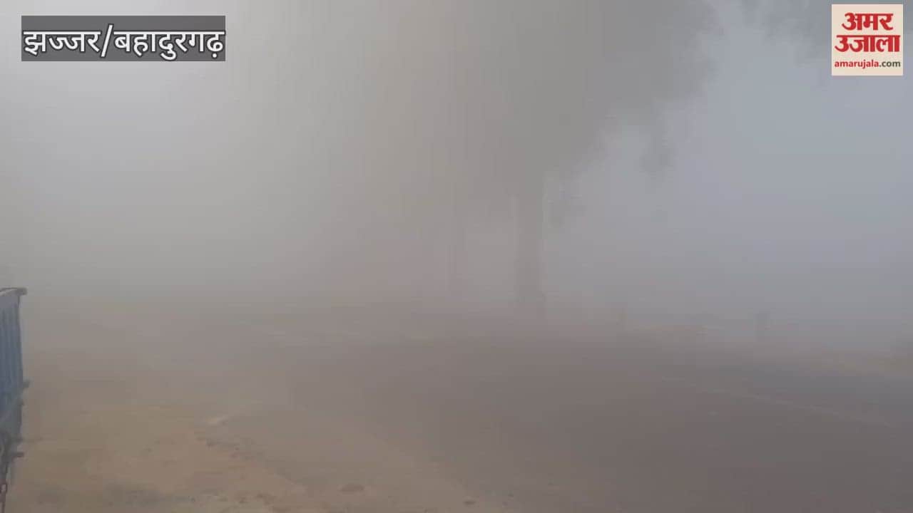 first fog of the season has enveloped Jhajjar