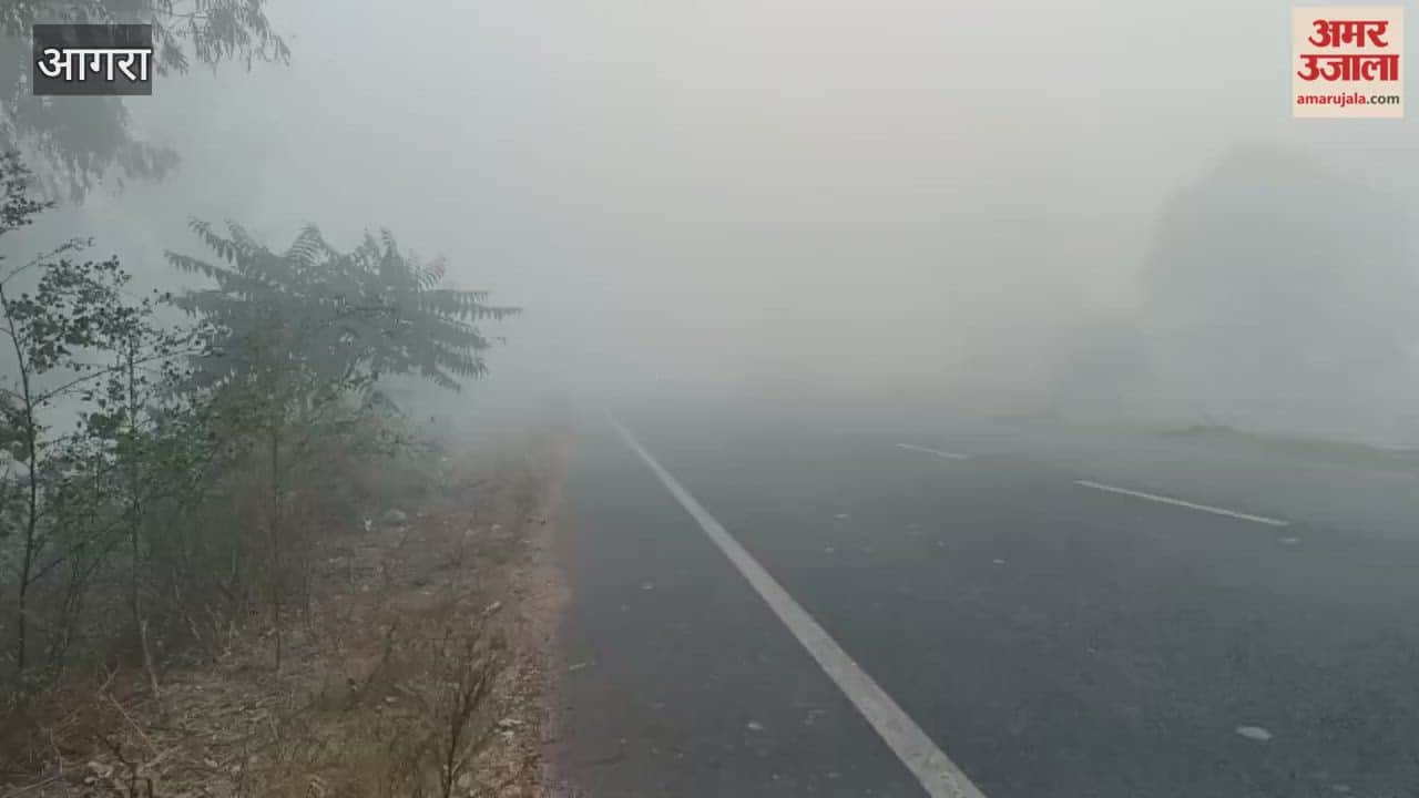 speed of vehicle stop due to fog in agra