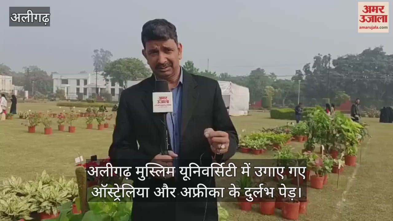 अलीगढ़ मुस्लिम यूनिवर्सिटी में उगाए गए ऑस्ट्रेलिया और अफ्रीका के दुर्लभ पेड़