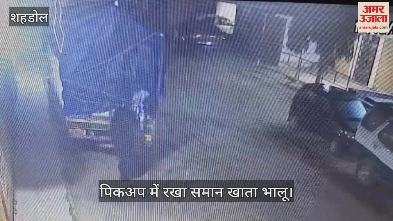 Bear terror continues in Rasmohani: Bear enters the settlement for the fourth time