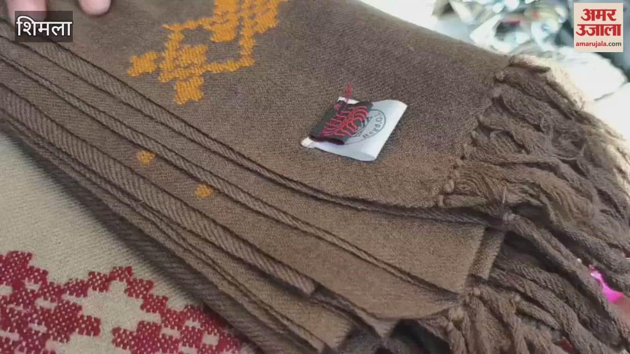 Shimla A mother dream has been fulfilled by her siblings a self-help group has set up a stall at the Saras fair organized on the Ridge