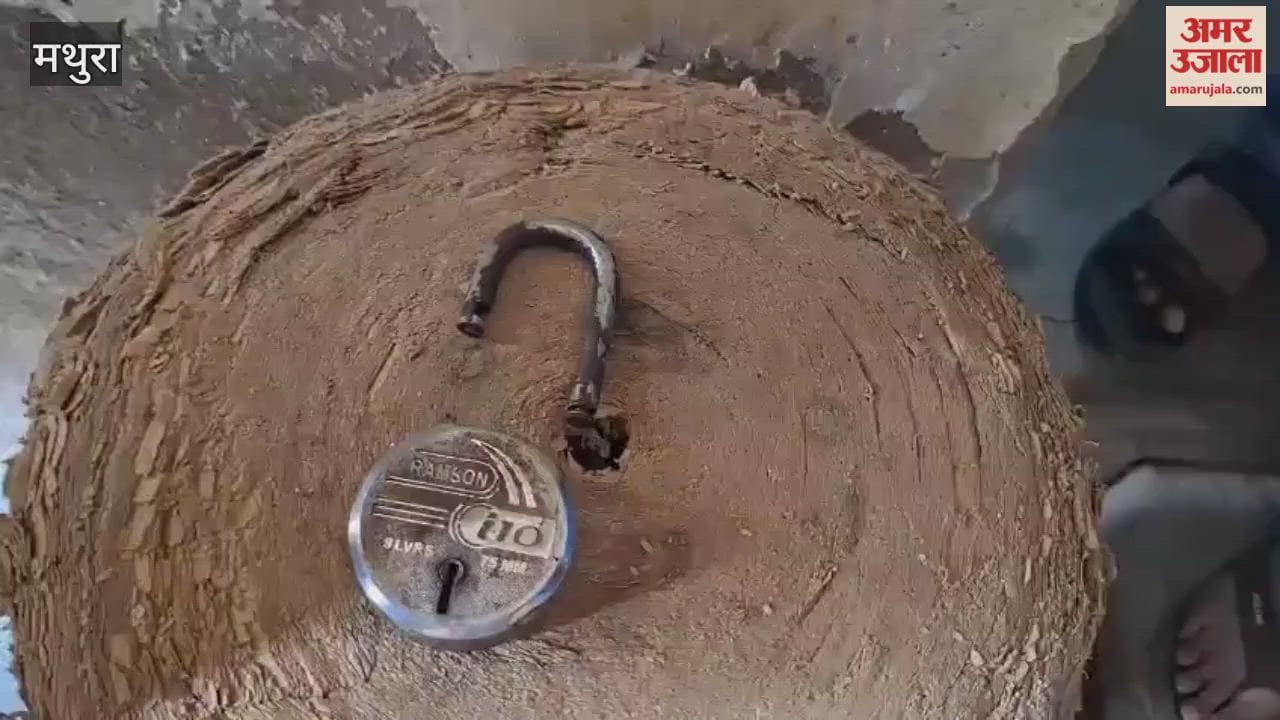 Thieves broke locks of cardboard factory