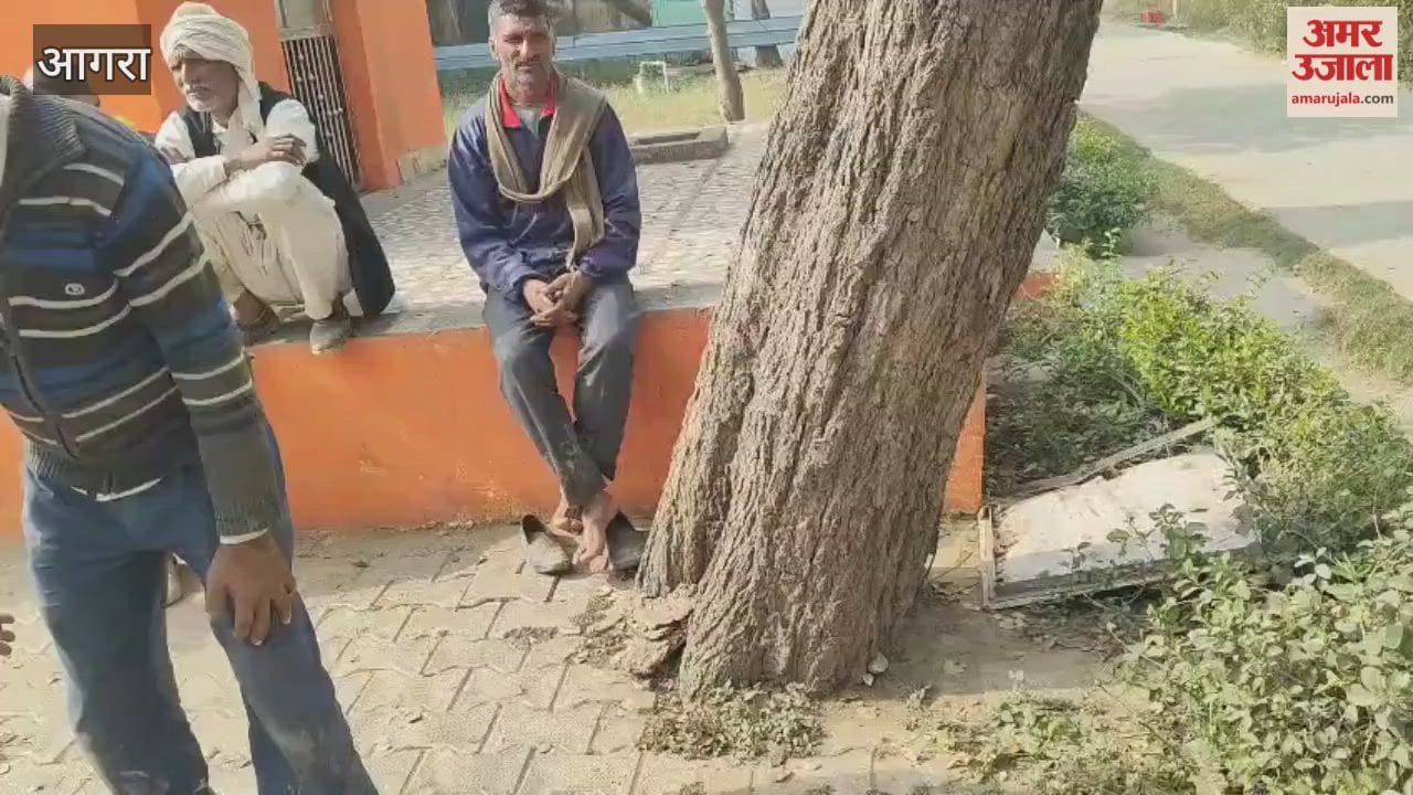 dispute arose between two parties over tree