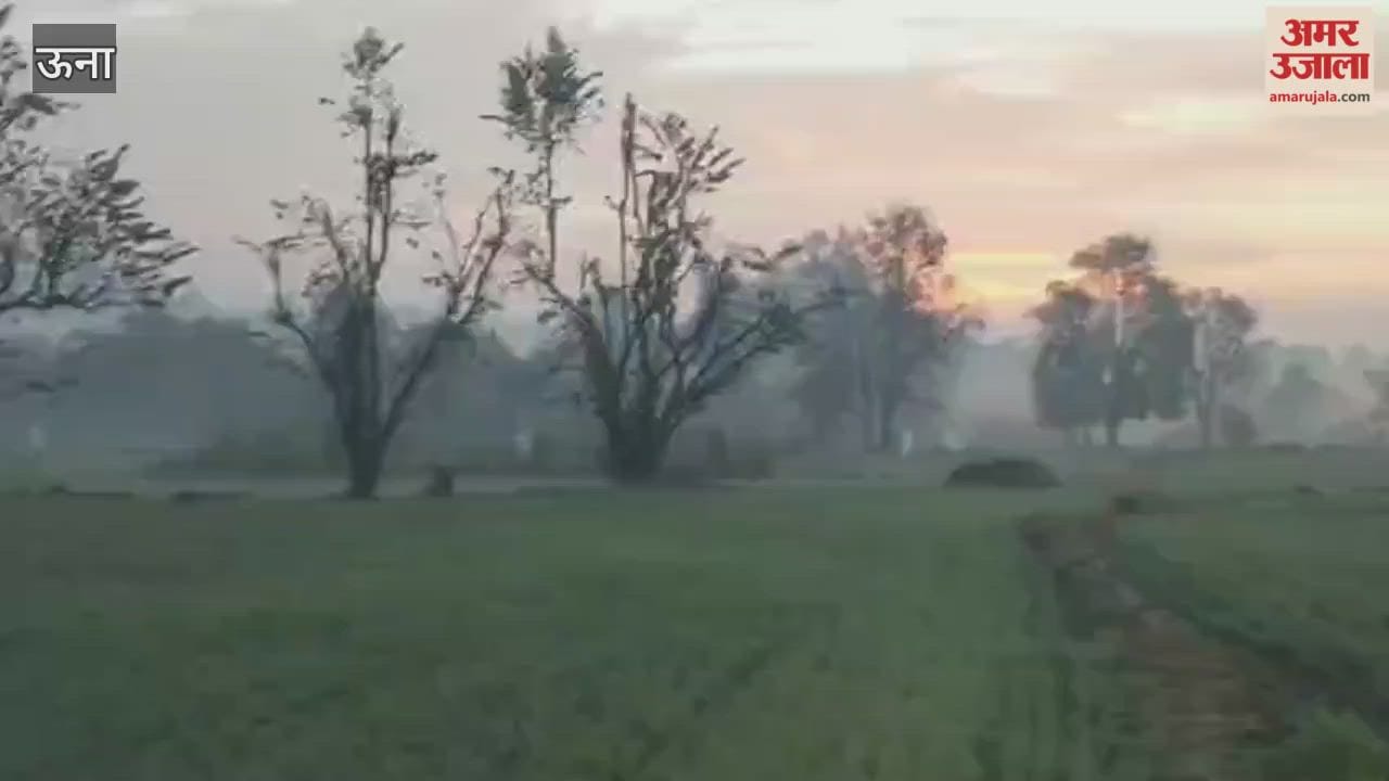 Una Farmers are waiting for the rain, fearing that their crops will be damaged