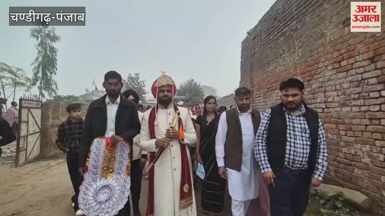 District Council and Panchayat Committee elections Groom casts his vote in Mamdot