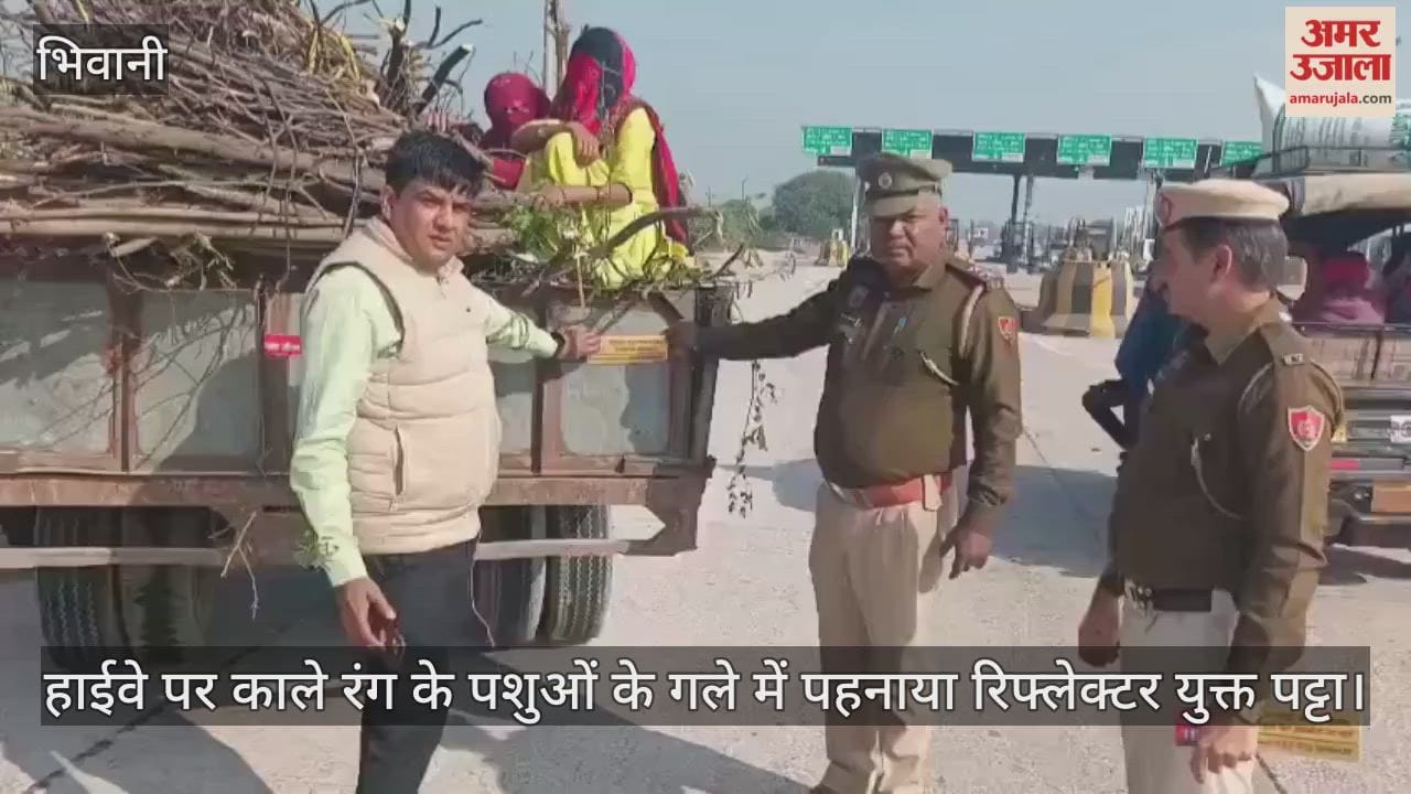 Black animals on the highway are being given reflector straps