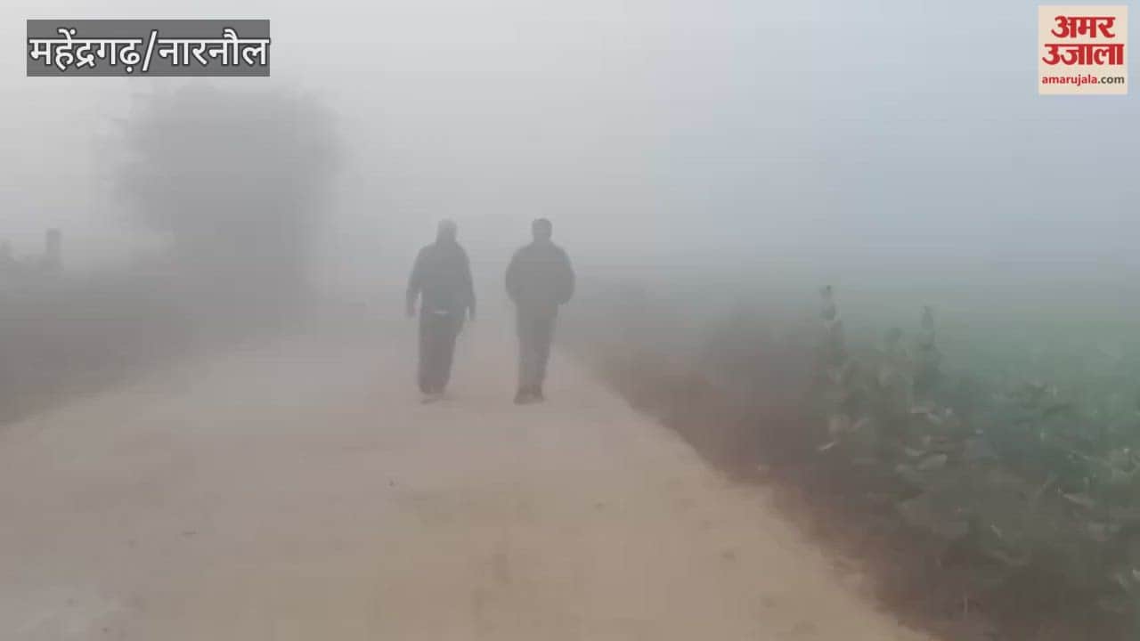 Fog continued to blanket Narnaul for the second consecutive day, with visibility remaining below 20 meters.