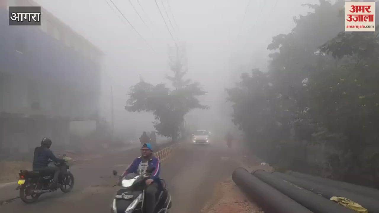 Dense Fog Slows Agra