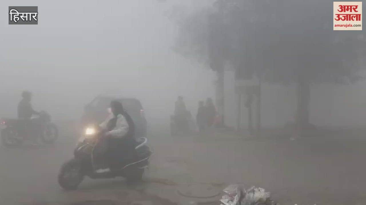 Dense fog blankets Hisar.