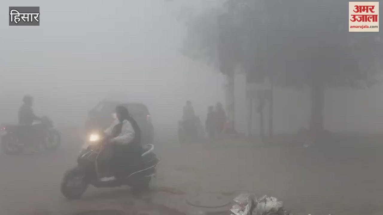 Dense fog blankets Hisar.