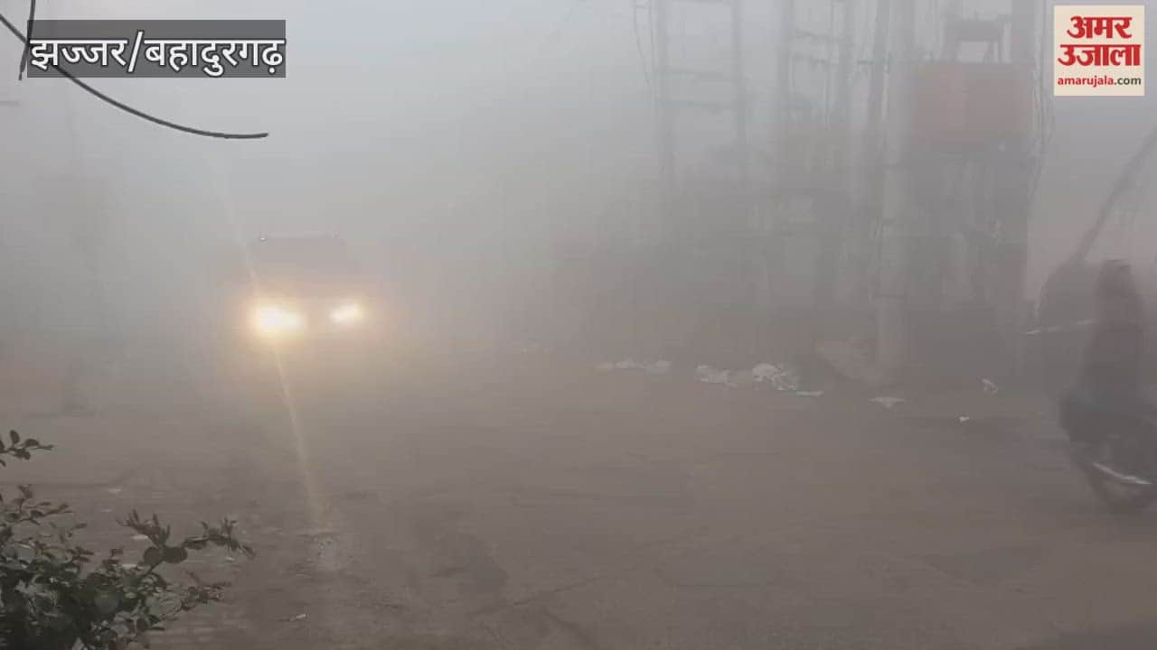 Visibility is zero in Jhajjar due to dense fog.