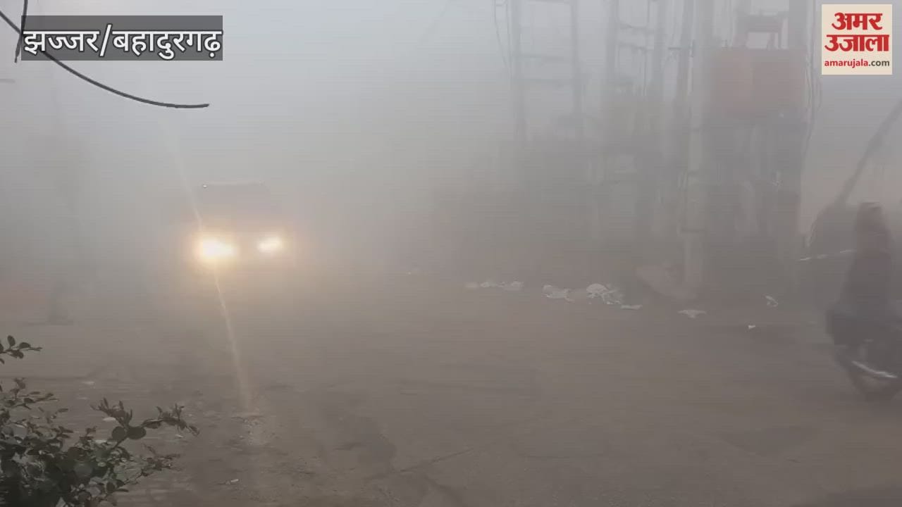 Visibility is zero in Jhajjar due to dense fog.