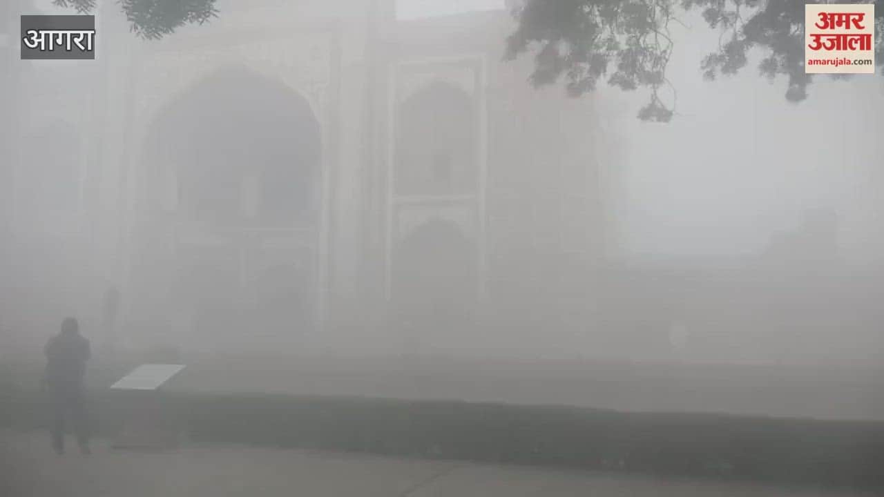 Taj Mahal Hide Due To Fog