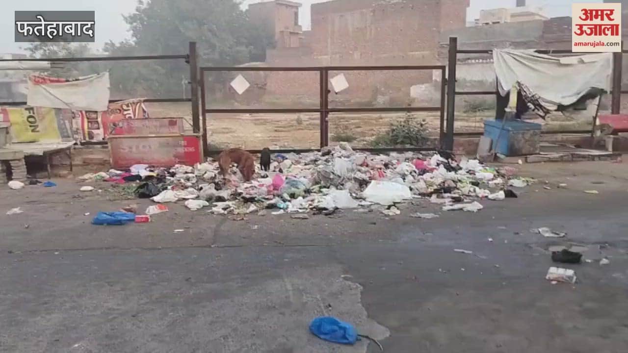 Municipal council employees in Tohana, Fatehabad, are flouting the Swachh Bharat Abhiyan (Clean India Mission); a video has gone viral