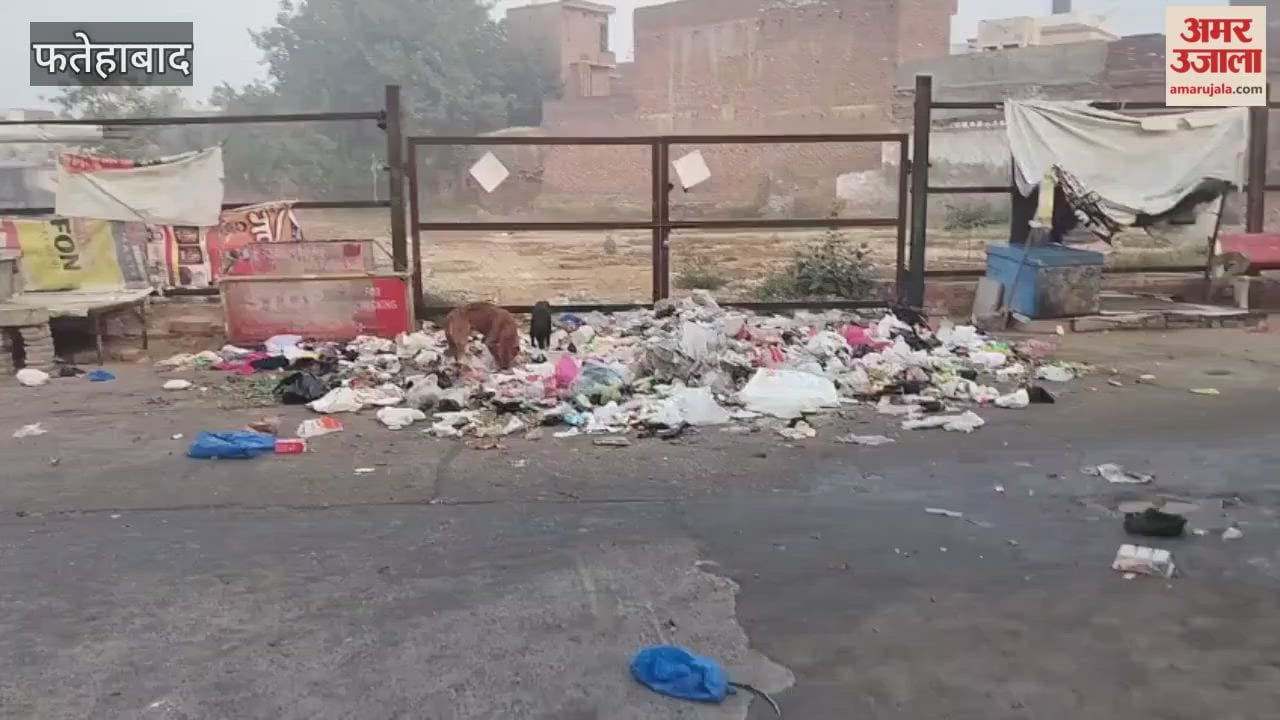Municipal council employees in Tohana, Fatehabad, are flouting the Swachh Bharat Abhiyan (Clean India Mission); a video has gone viral