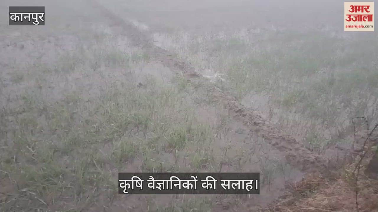 कानपुर: सिंचाई कर खेतों का बढ़ाएं तापमान, कोहरे की मार से बचाएं फसल