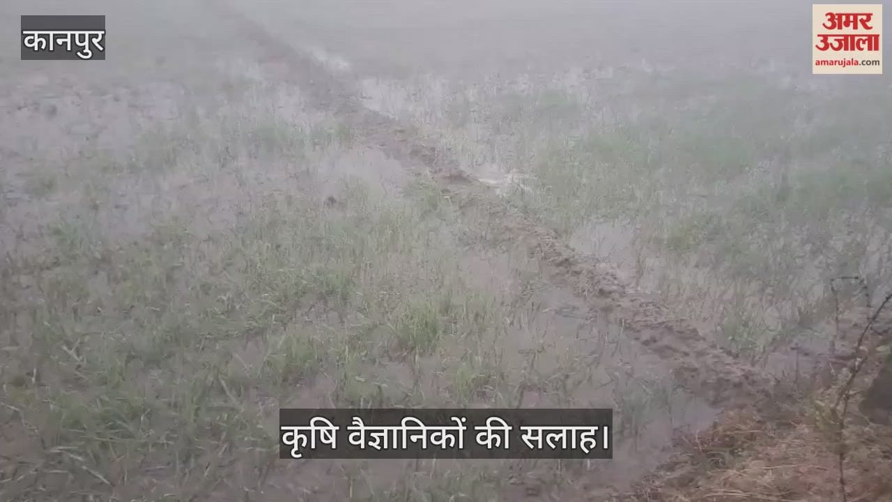 कानपुर: सिंचाई कर खेतों का बढ़ाएं तापमान, कोहरे की मार से बचाएं फसल