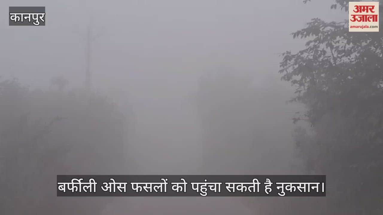 कानपुर: रात के समय फसलों के बीच धुआंकर कोहरे के प्रभाव को कम करें किसान