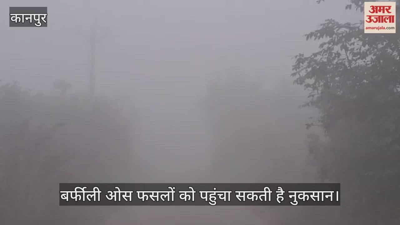 कानपुर: रात के समय फसलों के बीच धुआंकर कोहरे के प्रभाव को कम करें किसान