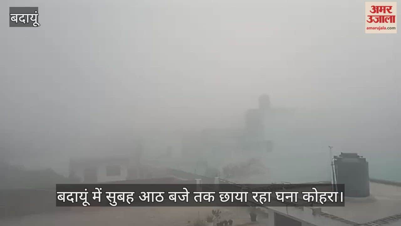 visibility zero due to dense fog in Badaun