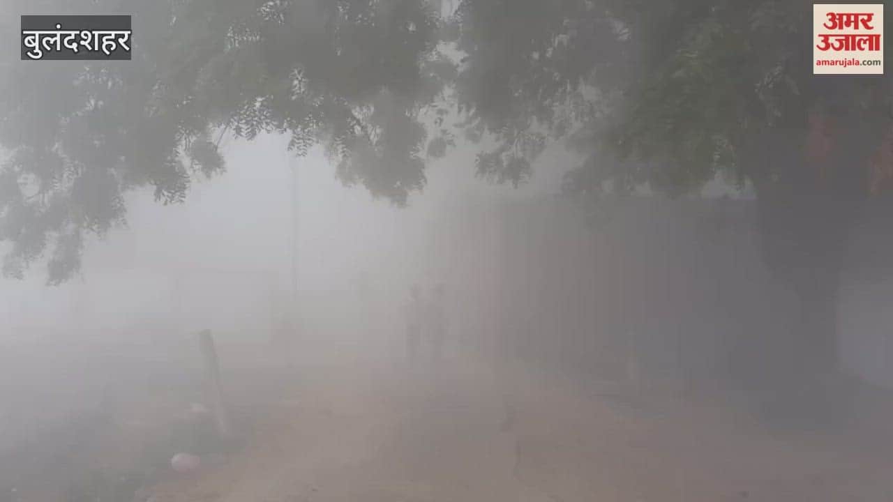 Speed of vehicles slowed down due to dense fog in Bulandshahr