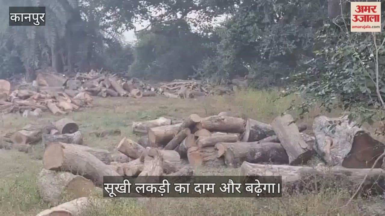कानपुर: ठंड के तेवर से लकड़ी बाजार गर्म, 1000 रुपये कुंतल पहुंचा भाव