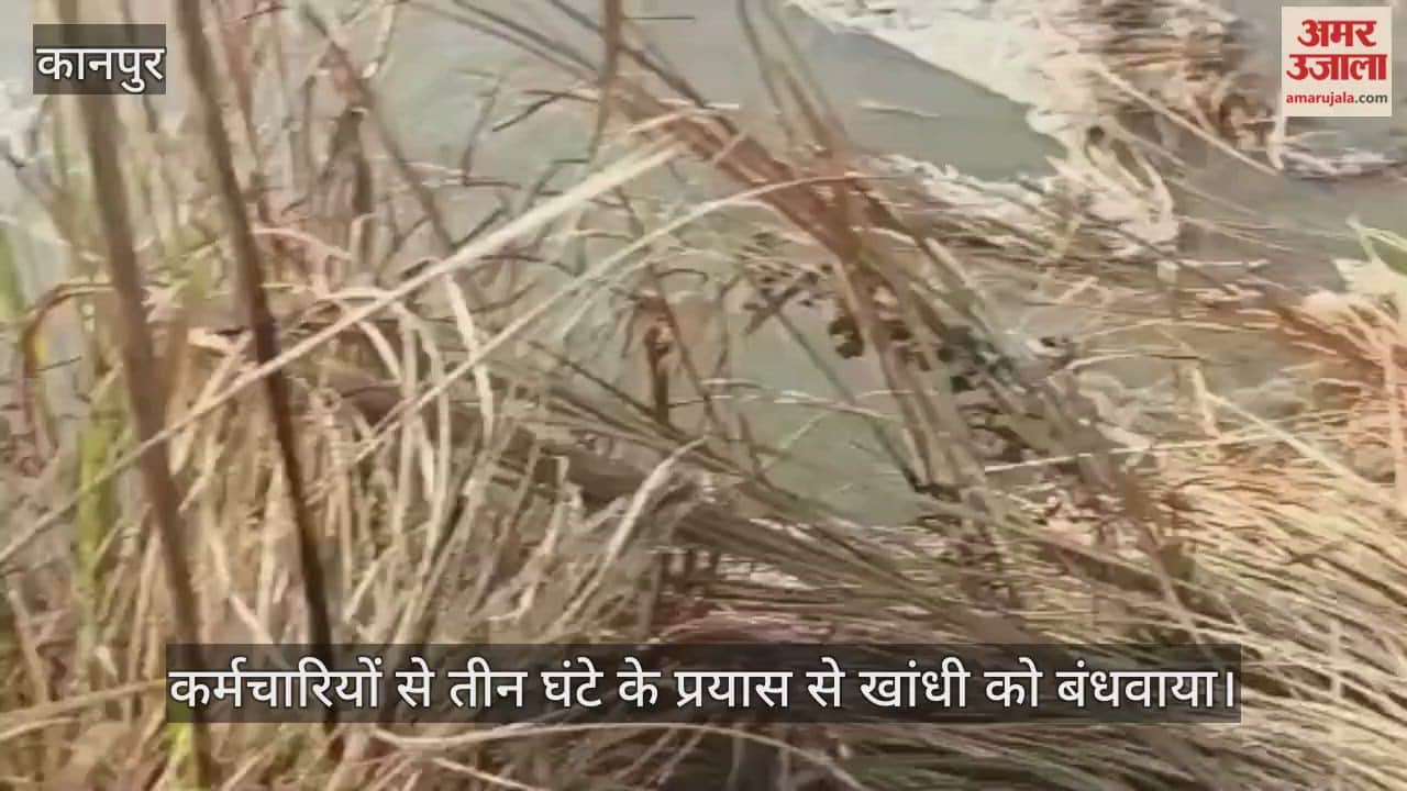 कानपुर: भीतरगांव में बंबे की खांधी कटी, चालीस बीघे गेहूं के खेत जलमग्न