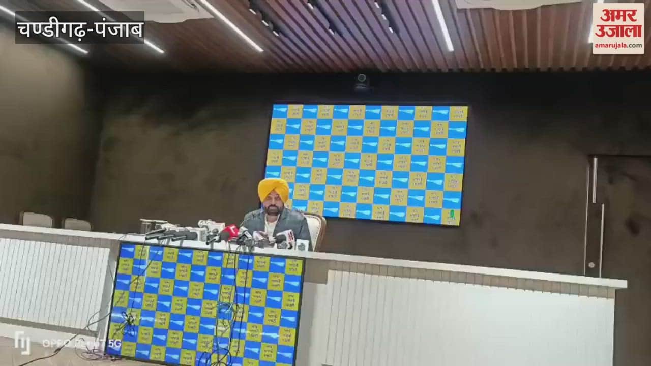 Punjab CM Bhagwant Mann comments on congress