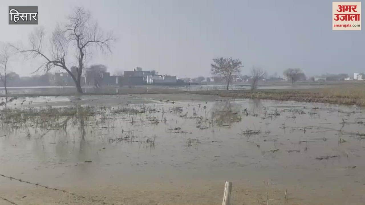Even after four months, rainwater has not been drained from Hisar, and farmers have been unable to sow wheat.