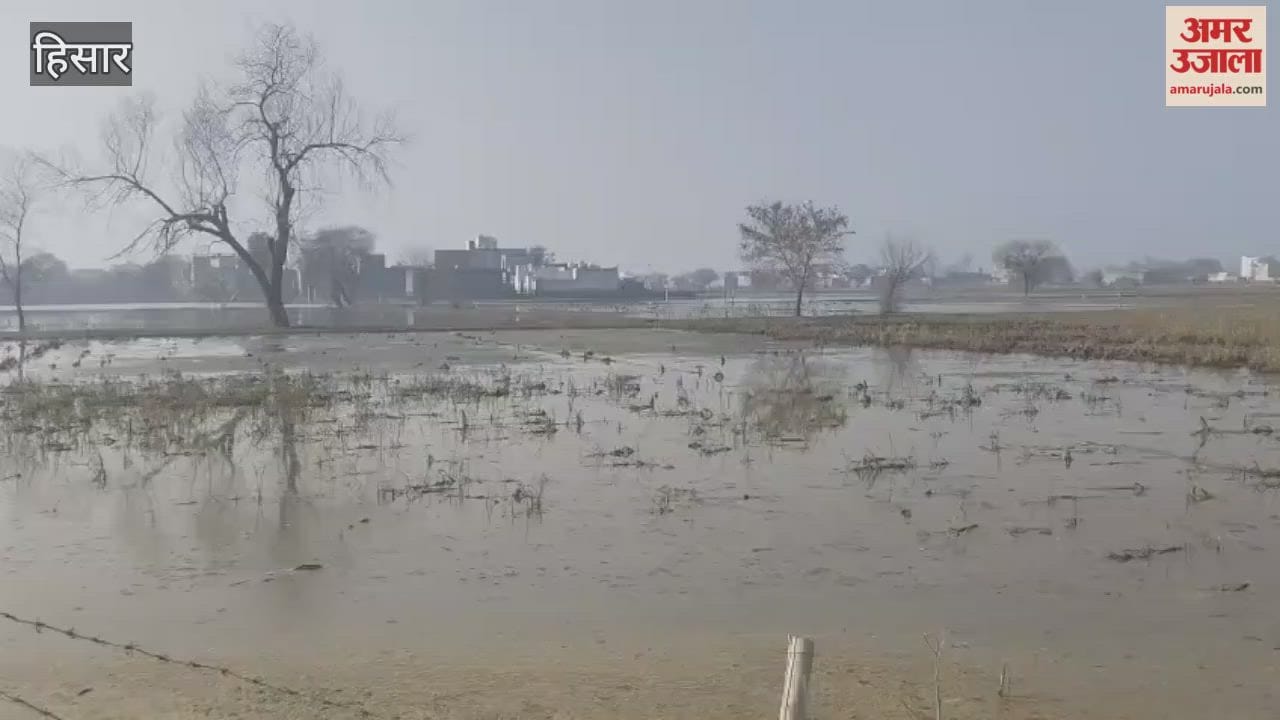 Even after four months, rainwater has not been drained from Hisar, and farmers have been unable to sow wheat.