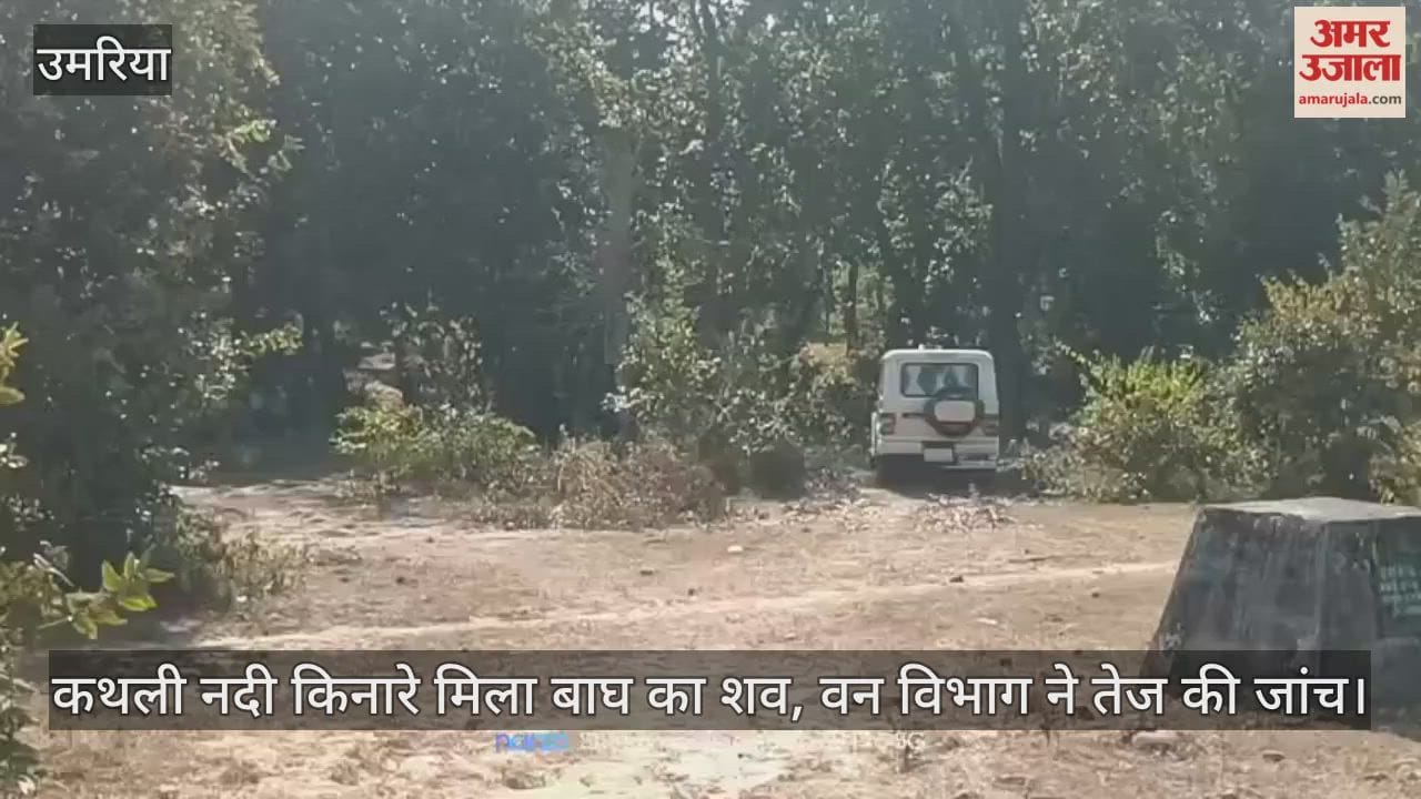 Umaria News: Tiger sighting suspected in Chandia forest.