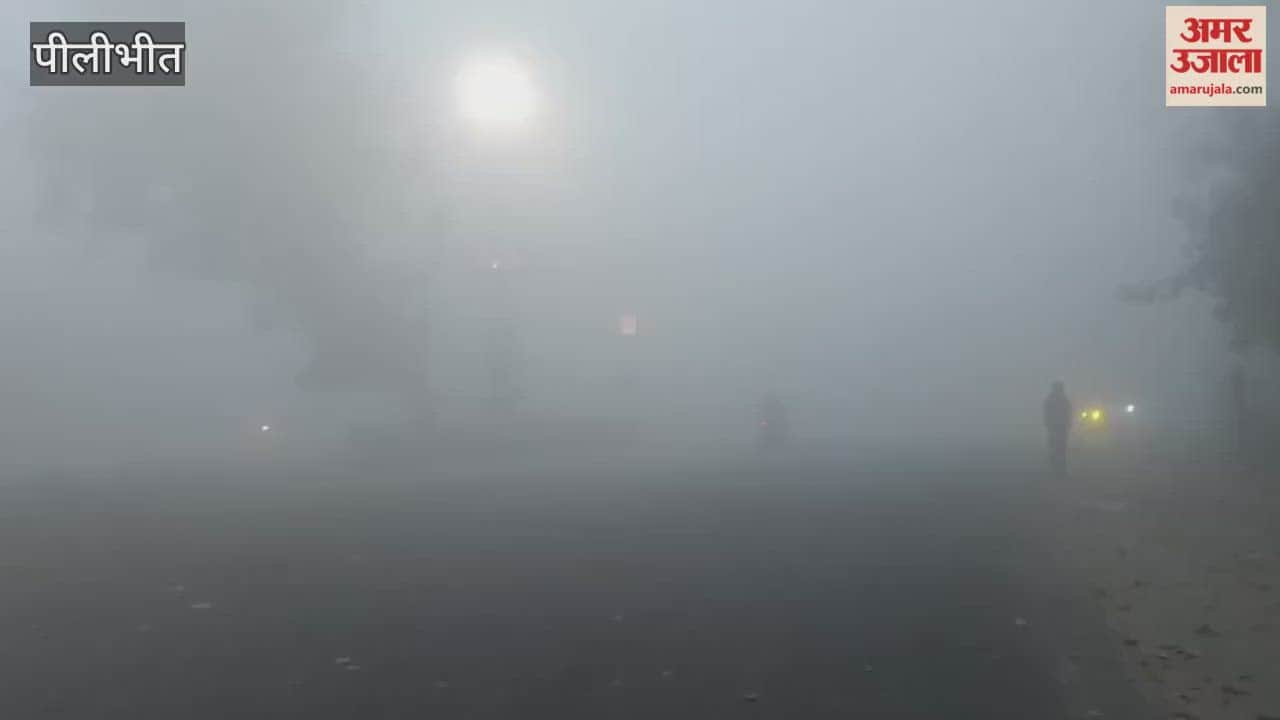 Dense fog in Pilibhit