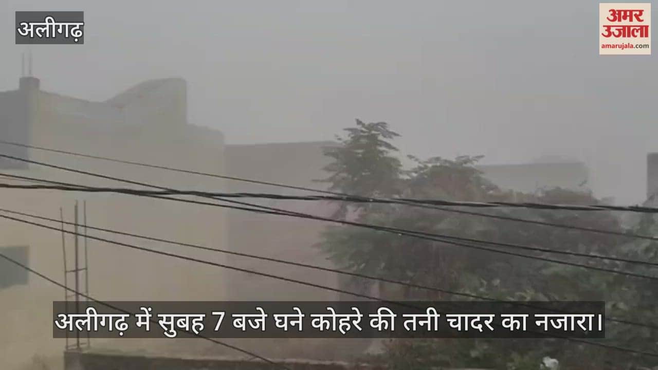 अलीगढ़ में सुबह 7 बजे घने कोहरे की तनी चादर का नजारा