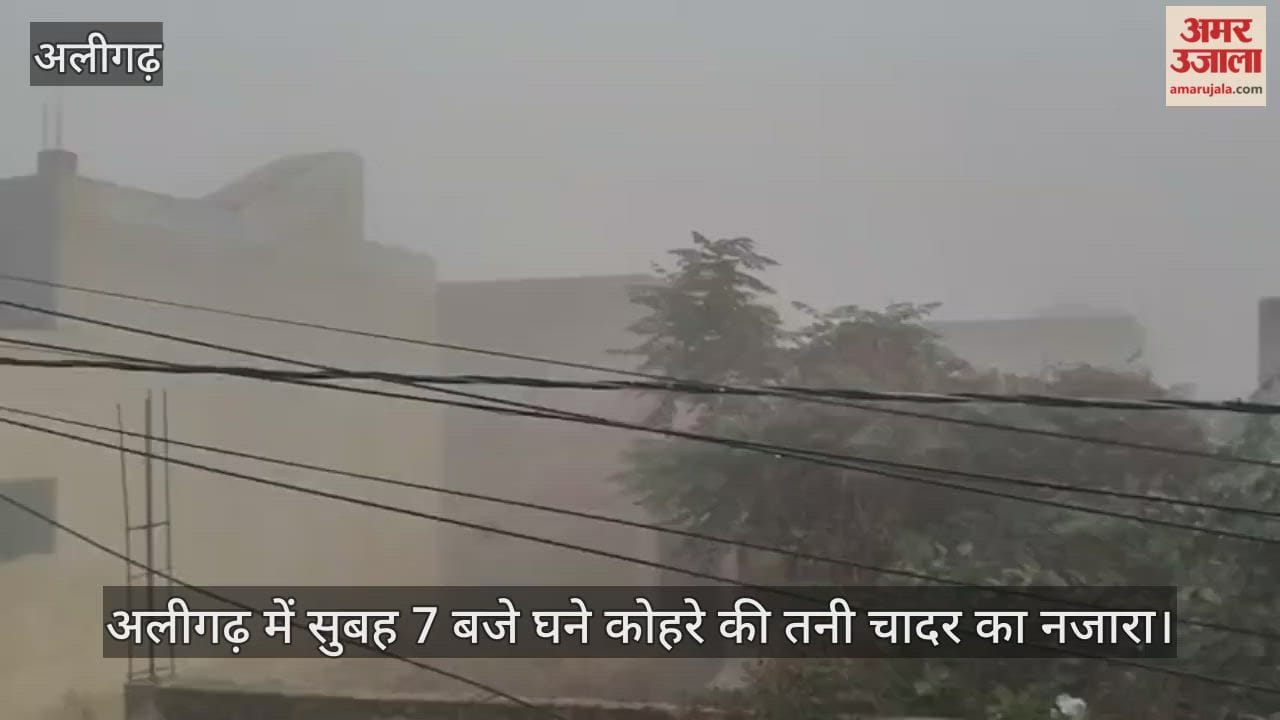 अलीगढ़ में सुबह 7 बजे घने कोहरे की तनी चादर का नजारा