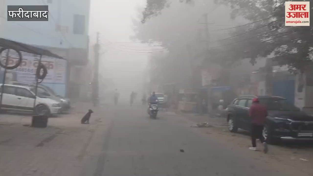 Dense fog enveloped Faridabad, causing difficulties for motorists
