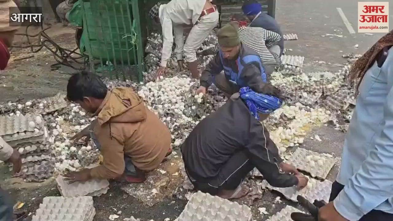 Speeding Private Bus Hits Egg-Laden Tempo Two Injured in Fatehabad