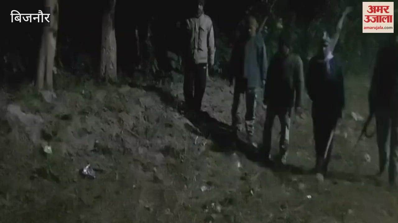 Bijnor: Tigers, elephants, and leopards have disrupted the sleep of the forest department