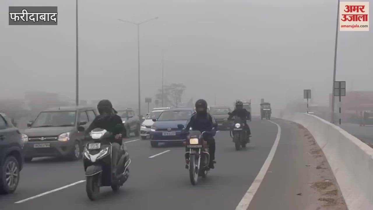 Dense fog slowed down traffic on the Delhi-Jaipur highway