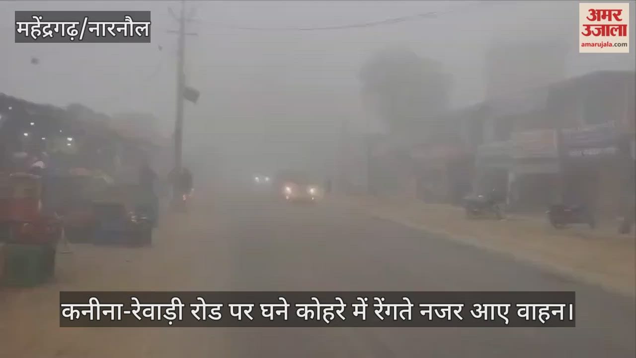 Dense fog in Kanina