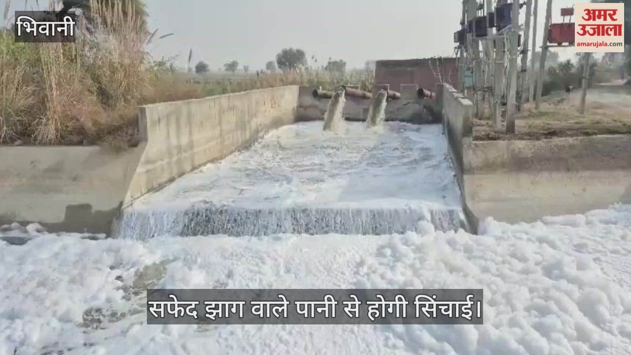 Irrigation of fields will be done with contaminated water