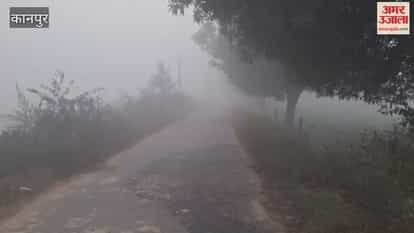 Dense fog, increased cold, weather department predicts further drop in temperature