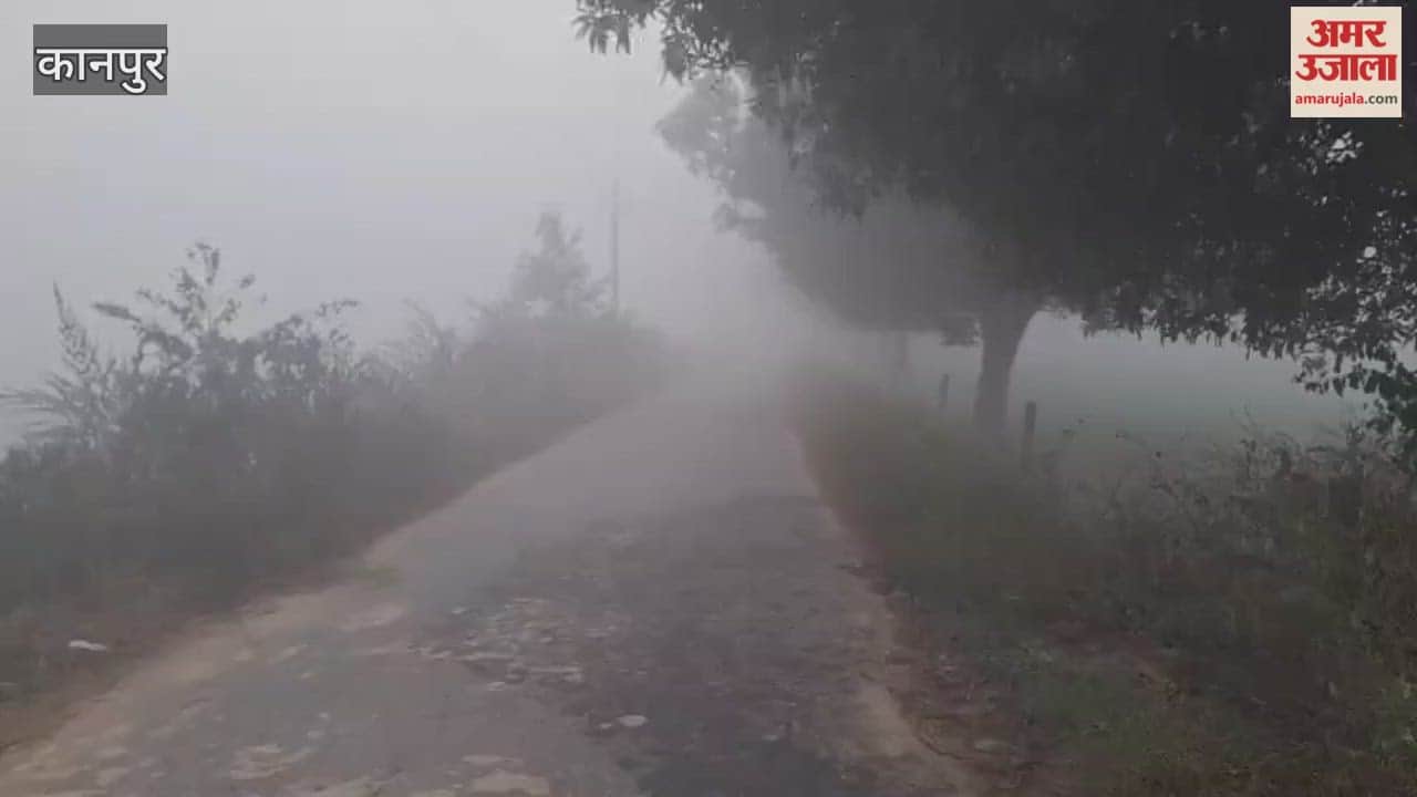 Dense fog, increased cold, weather department predicts further drop in temperature