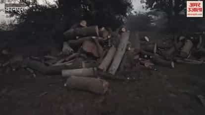 price of dry firewood has increased in the Bhitargaon area