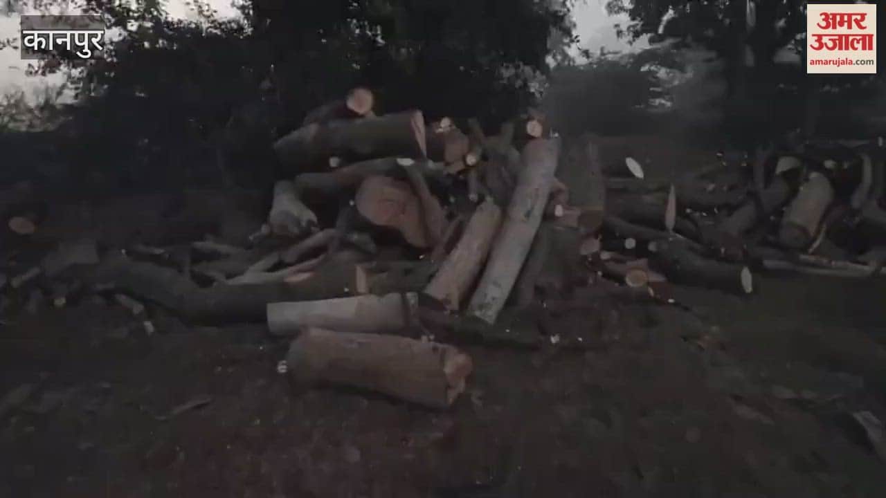 price of dry firewood has increased in the Bhitargaon area