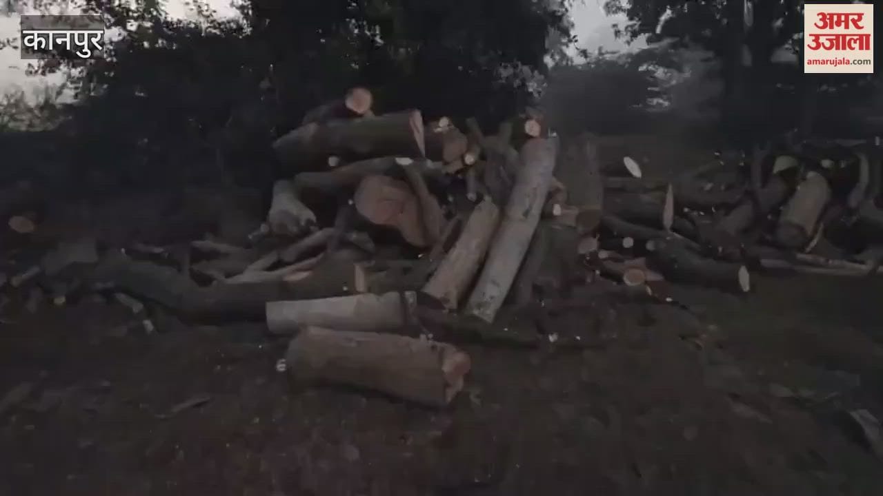price of dry firewood has increased in the Bhitargaon area