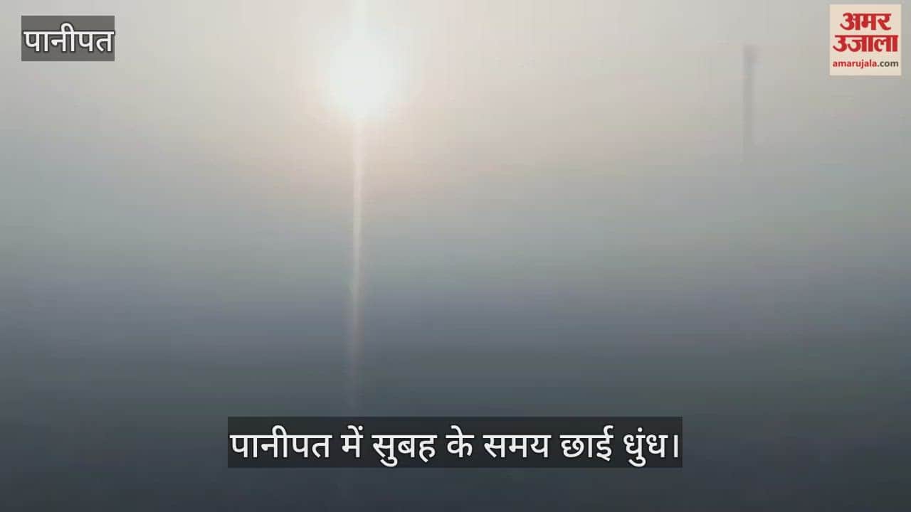 Fog in Panipat