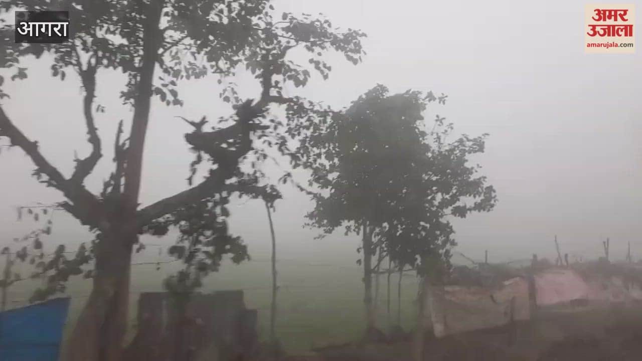 Dense Fog Brings Life to a Crawl on Visibility Drops to Zero