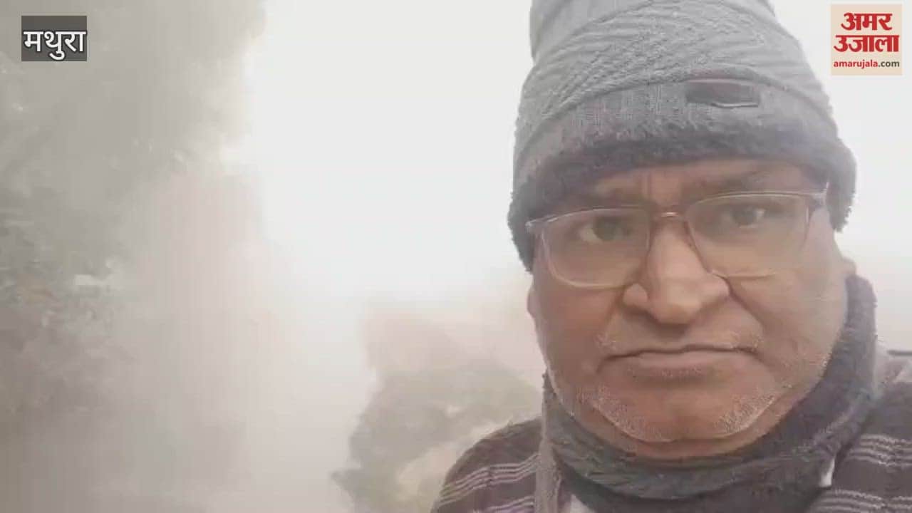 Dense Fog Disrupts Life in Baldev, Traffic Movement Slows Down